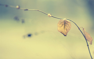 戀愛攻心術(shù)操控術(shù)電子書【免費(fèi)下載】_戀愛攻心術(shù)操控術(shù)下載